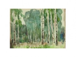 birch-grove